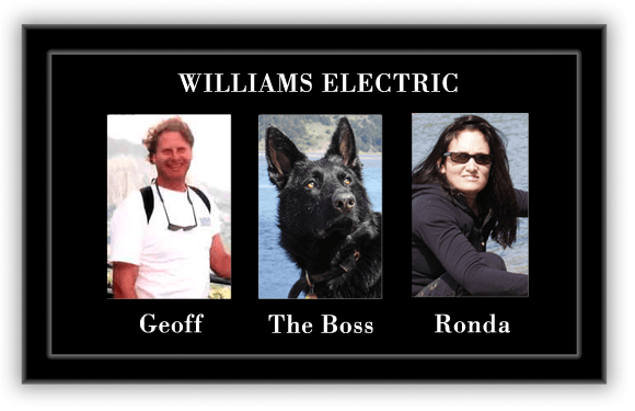 Williams-Electric-Team