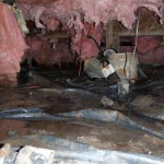 muddy crawl space shot dangerous for electrocution